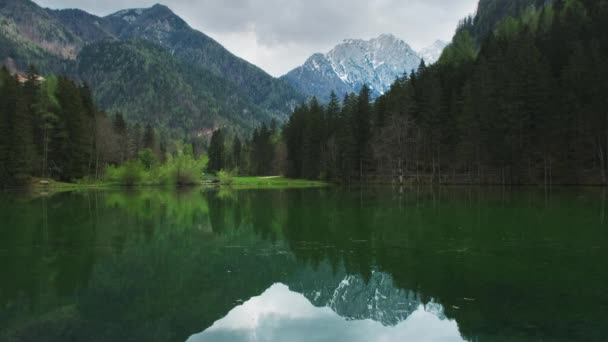 Alpská Jarní Krajina Horským Jezerem Plansarské Jezero Zeleným Lesem Jezerském — Stock video