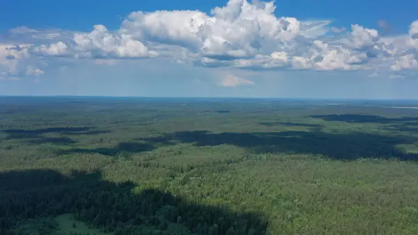Luftaufnahme Des Schönen Waldes Sonniger Sommertag Und Blauer Himmel Stockbild