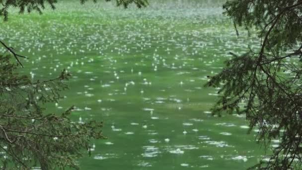 Druppels Hevige Regen Het Bosmeer Bomen Groen Water — Stockvideo