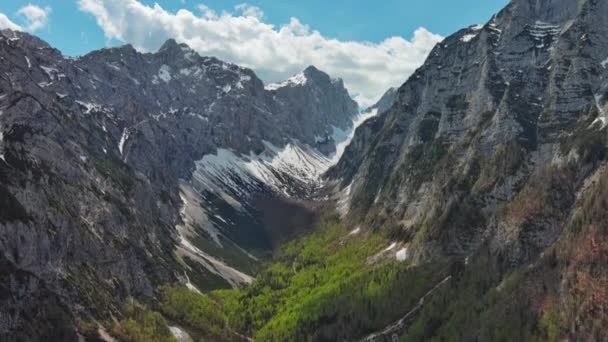 Luftaufnahme Atemberaubender Gipfel Und Grüner Täler Den Julischen Alpen Triglav — Stockvideo