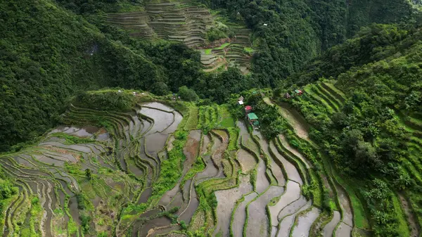 Pemandangan Udara Teras Batad Rice Yang Indah Provinsi Ifugao Pulau Stok Gambar