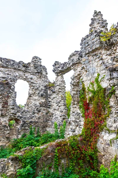 セレドネ村の中世の城の遺跡 トランスカルパチア ウクライナ 西世紀に建てられ 最も古い中世の城の一つで その荒廃した状態でその古い文字を保存 — ストック写真