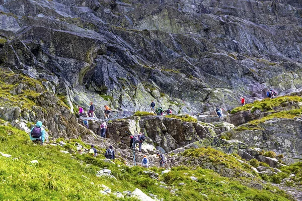 Vysoke Tatry Slovaquie Juillet 2023 Randonnée Dans Les Hautes Tatras — Photo