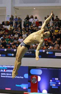 Berlin, Almanya - 24 Mart 2024: Fransız Alexis JANDARD, Almanya 'nın Berlin kentinde düzenlenen Dünya Sucul Dalış Şampiyonası Erkekler 3 metre Springboard Finali' nde sahne aldı.