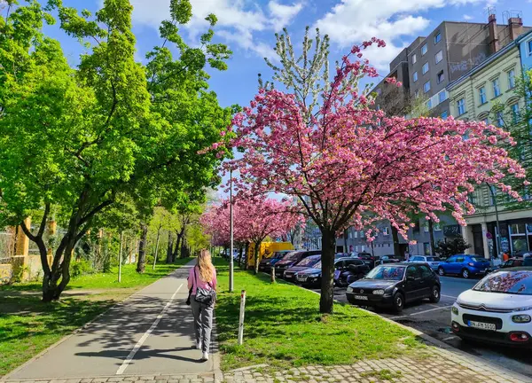 Берлин Германия Апреля 2024 Года Неузнаваемая Женщина Розовой Рубашке Прогуливается Стоковое Фото