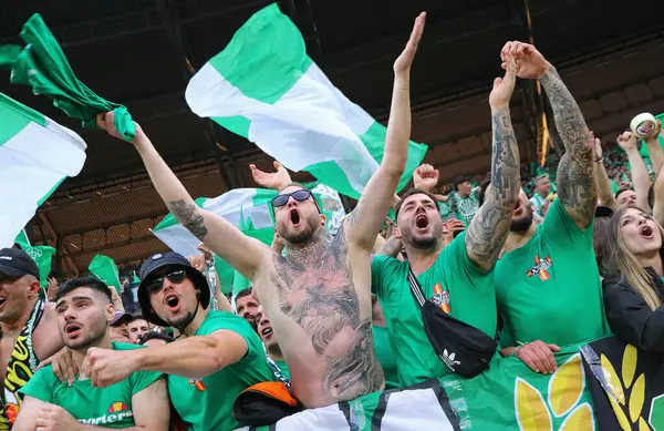 Wroclaw, Polonya - 28 Mayıs 2025: Gerçek Betis taraftarları Wroclaw, Polonya 'da Chelsea' ye karşı oynanan UEFA Konferans Ligi final maçında desteklerini gösterdiler