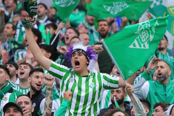 Wroclaw, Polonya - 28 Mayıs 2025: Gerçek Betis taraftarları Wroclaw, Polonya 'da Chelsea' ye karşı oynanan UEFA Konferans Ligi final maçında desteklerini gösterdiler