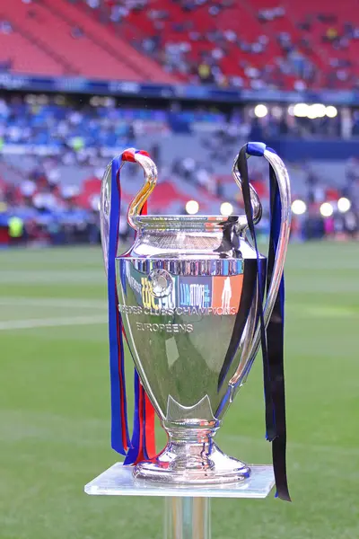 Münih, Almanya - 31 Mayıs 2025: UEFA Şampiyonlar Ligi Kupası (Kupa), Almanya 'nın Münih kentindeki Münih arenasında oynanan UCL final maçı öncesinde Paris Saint-Germain v Inter' i sunar.