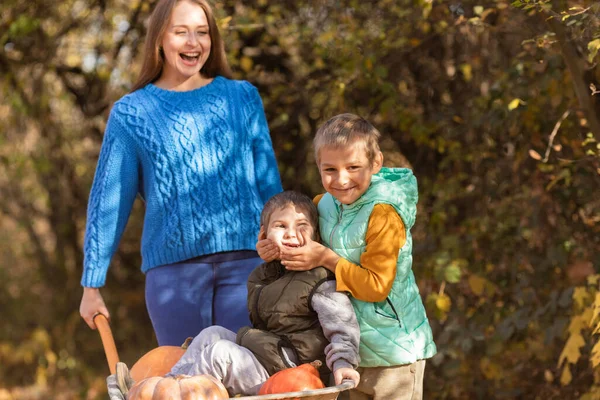 Matka Baw Się Dobrze Dziećmi Używać Taczki Ogrodowej Dyniami — Zdjęcie stockowe