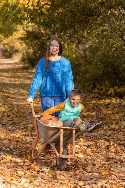 stock image Mother have fun time with son, use garden wheelbarrow with pumpkins. Autumn, thankgiving time