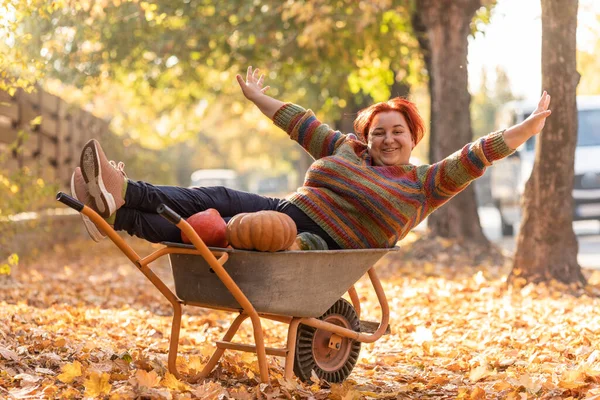 Kobieta Baw Się Dobrze Leżąc Ogrodzie Taczki Dyniami Selekcjonowanie Dziękczynienia — Zdjęcie stockowe