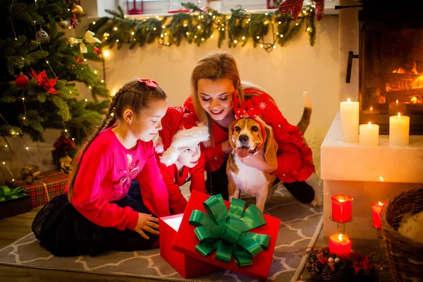 Famiglia Felice Con Cane Beigle Seduto All Albero Natale Vicino — Foto Stock