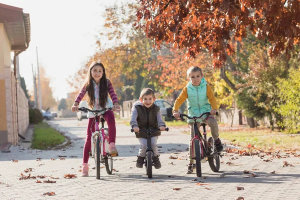 兄弟姐妹们准备参加第一场自行车比赛 在阳光灿烂的秋日 孩子们骑自行车和自行车 — 图库照片