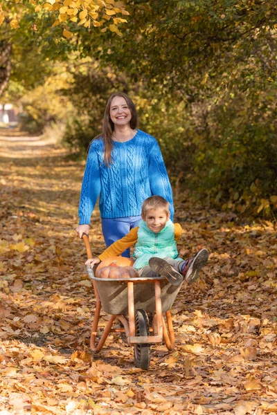 Mother Have Fun Time Son Use Garden Wheelbarrow Pumpkins Autumn — Stock Photo, Image