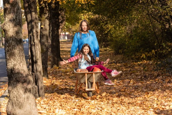 妈妈和孩子们在一起很开心 用花园的手推车和南瓜一起玩 感恩的时刻 — 图库照片