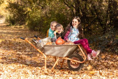 Çocuklar el arabasında balkabağıyla eğleniyor, sonra da Şükran Günü 'nde.