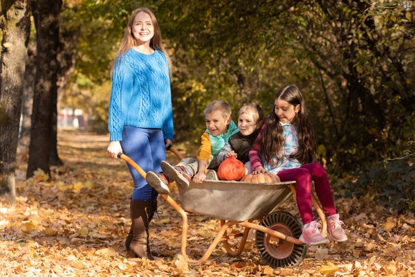 Mother Have Fun Time Kids Use Garden Wheelbarrow Pumpkins — Stock Photo, Image