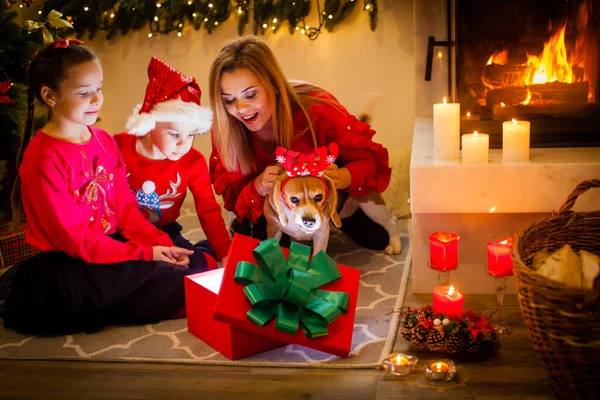 暖炉の近くのクリスマスツリーに座っている弱虫の犬と幸せな家族 — ストック写真