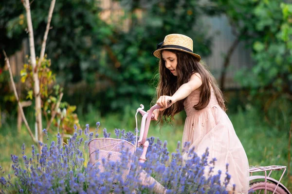 Schöne Langhaarige Mädchen Der Nähe Von Lavendelbüschen Garten Das Mädchen — Stockfoto