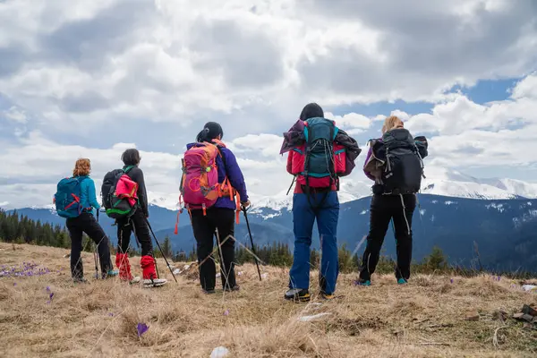 Туристи Рюкзаками Скандинавськими Паличками Насолоджуючись Гірським Пейзажем Під Час Цвітіння Ліцензійні Стокові Фото