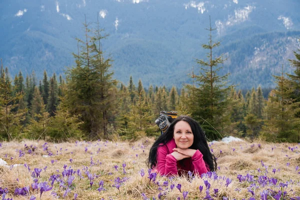 Mujer Excursionista Disfruta Del Azafrán Floreciendo Las Montañas Los Cárpatos Imágenes de stock libres de derechos