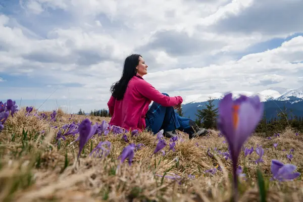 Γυναίκα Πεζοπόρος Απολαμβάνει Σαφράν Ανθίζει Στα Καρπάθια Βουνά Στις Αρχές Royalty Free Φωτογραφίες Αρχείου