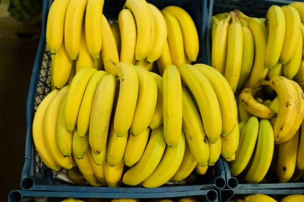 Frische Bananen Plastikboxen Auf Dem Großen Markt Stockbild