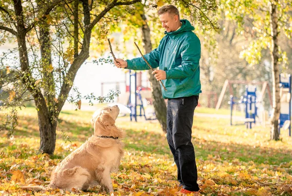 Uomo Che Gioca Con Suo Cane Golden Retriever Nel Parco — Foto Stock