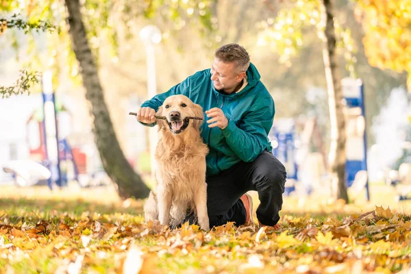 男人在秋天的公园里和他的狗一起玩金毛猎犬 — 图库照片