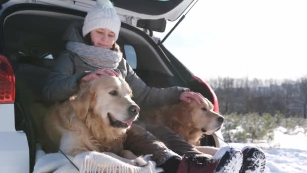Kışın Iki Golden Retriever Köpeğiyle Arabanın Bagajında Oturan Kameraya Bakan — Stok video