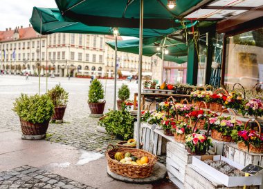 Wroclaw şehrinin merkez pazar meydanı yakınlarındaki Plac Solny Meydanı 'nda sonbaharda çiçek tezgahı