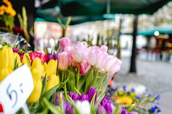 Stoisko Kwiatami Placu Solnym Pobliżu Rynku Głównego Wrocławiu Jesienią — Zdjęcie stockowe