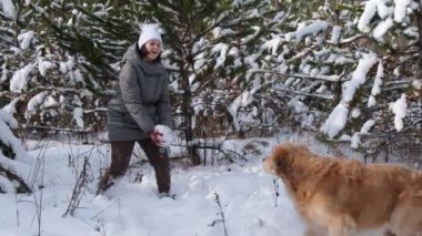 Kışın ormanda Golden Retriever köpeğiyle karda oynayan bir kız. Safkan köpekli güzel bir kadın karda eğleniyor..