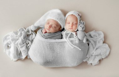 Newborn babies twins swaddled in fabric sleeping and holding bunny toys. Infant child kids studio photoshoot