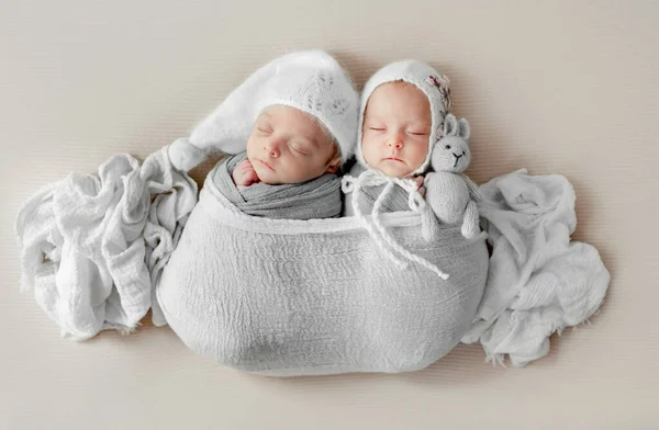 Newborn Babies Twins Swaddled Fabric Sleeping Holding Bunny Toys Infant — Stock fotografie