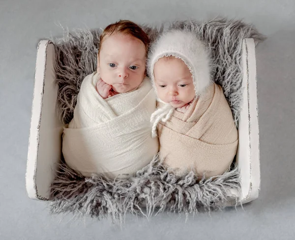 刚出生的双胞胎宝宝穿着布衣 睡在小木床上的毛皮上 幼儿兄弟姊妹工作室摄影 — 图库照片