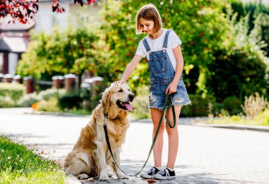 Preteen girl with golden retriever dog walking in beautiful park at summer. Cute child kid with doggy pet together outdoors