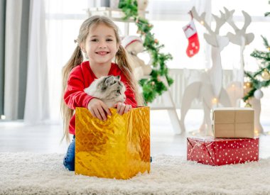 Çocuk kız Noel zamanı hediye kutusundan oyuncak kedi alır ve gülümser. Noel Baba şapkası takan güzel bir çocuk ve evcil bir evcil hayvan.