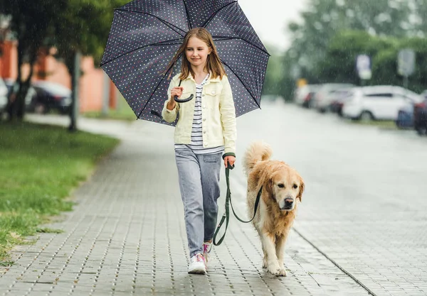 Preteen Girl Golden Retriever Dog Rainy Day Walking Outdoors City — Φωτογραφία Αρχείου