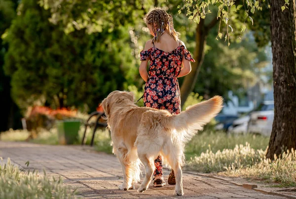 Preteen girl with golden retriever dog walking outdoors in summertime. Pretty kid petting fluffy doggy pet in city, view from back