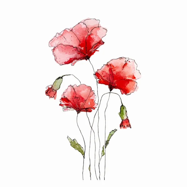 Watercolor Flowers Vector Paintings Postcards Greetings Floral Poppies Blossom Art — Stok Vektör