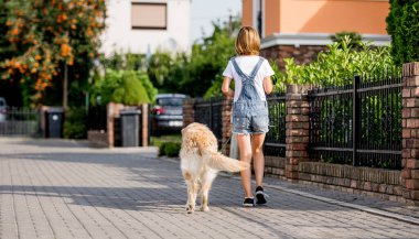 Golden Retriever köpeği olan genç bir kız sokakta yürüyor. Açık havada parkta safkan köpek labrador 'u olan güzel çocuk. Arka plan