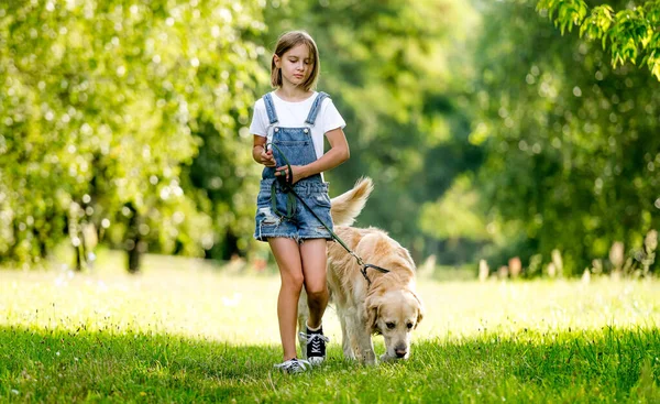 Tatlı Küçük Bir Kız Güzel Bir Köpek Yaz Çayırında Yürüyor — Stok fotoğraf