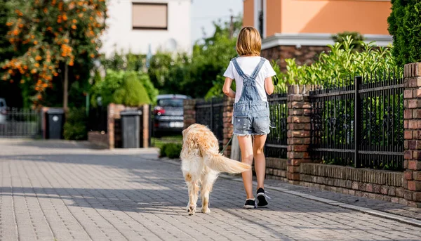 通りを歩くゴールデンレトリバー犬を持つ14人の少女 屋外公園で純血犬のラブラドールを持つかわいい子供 バックビュー — ストック写真