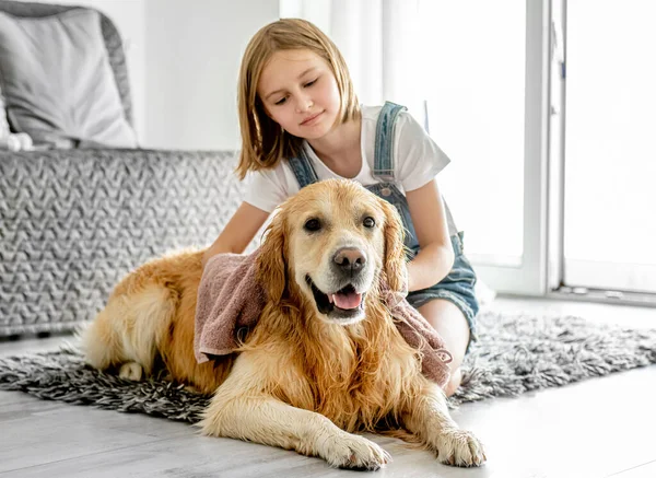 Preteen girl cares about golden retriever dog and cover doggy with blanket on floor. Pretty child kid with pet labrador friend indoors