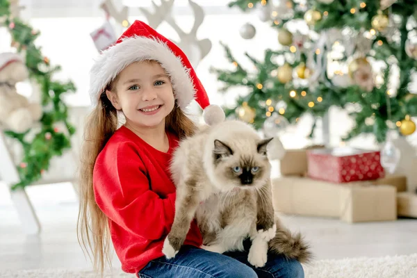 Niño Niña Sosteniendo Ragdoll Gato Tiempo Navidad Mirando Cámara Sonriendo — Foto de Stock