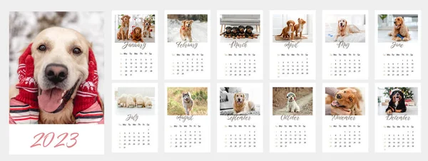 Calendario Fotográfico Para 2023 Año Con Perros Golden Retriever Plantilla — Foto de Stock