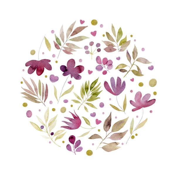 Акварель Ботанический Ручной Рисунок Цветов Растений Иллюстрации Цветочный Рисунок Aquarelle — стоковое фото