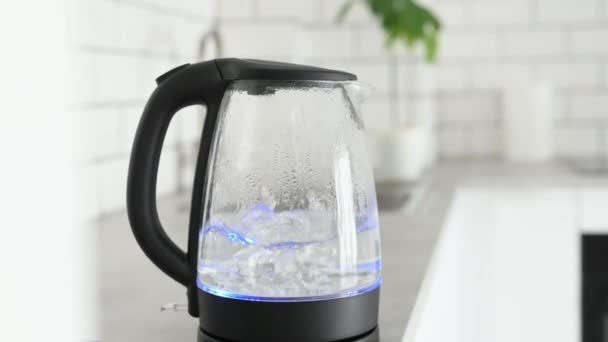 Transparent Kettle Boiling Water Kitchen Electric Teapot Hot Liquid Light — Stock Video