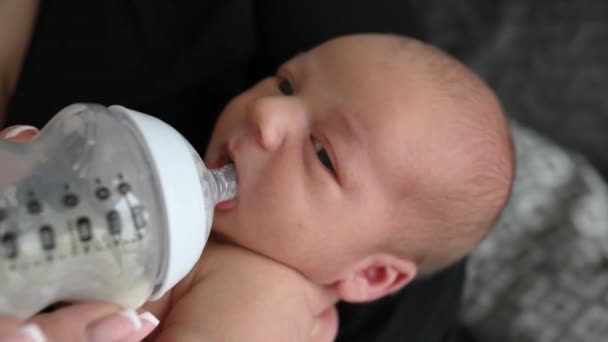 Neonato Che Beve Latte Dal Biberon Madre Mano Alimentazione Bambino — Video Stock